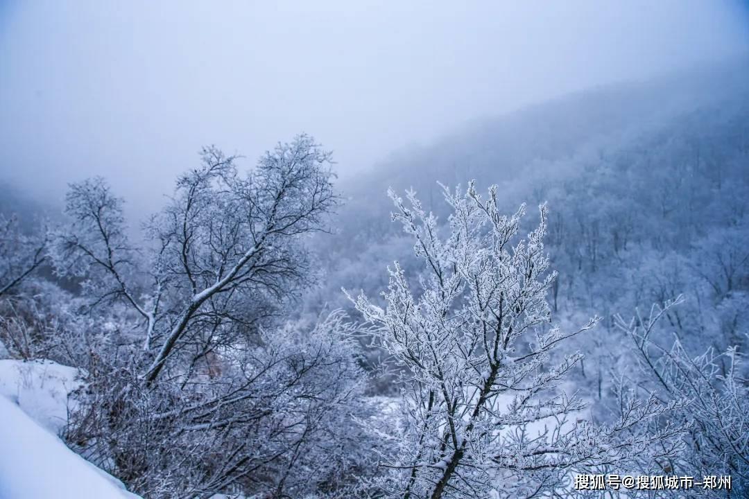雪公园森林逃生